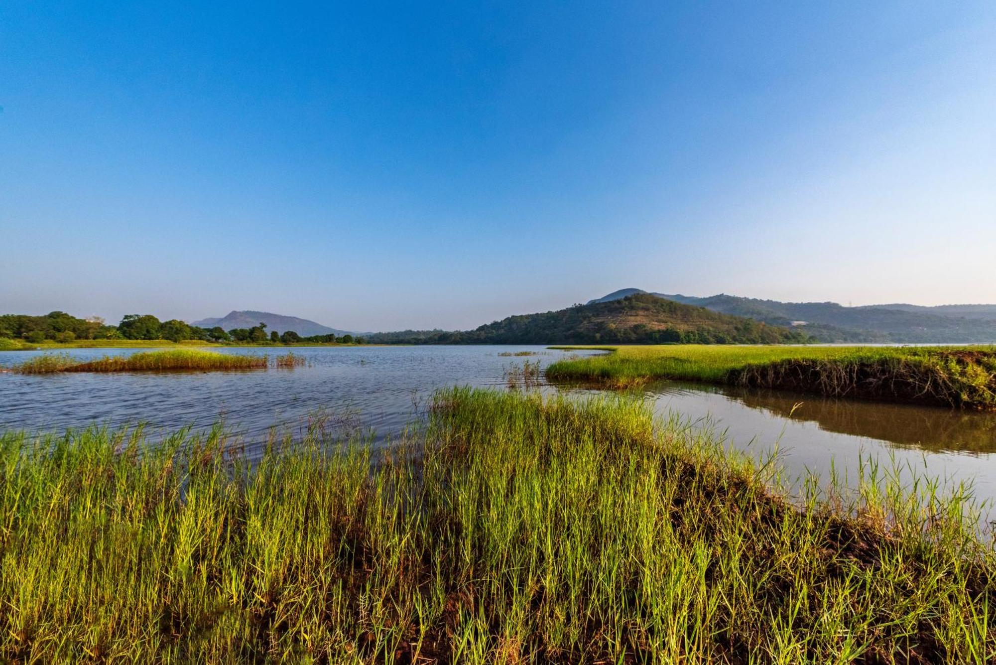 Saffronstays Lakeview Nivara - Farm Stay Villa With Private Pool Near Pune Exterior photo